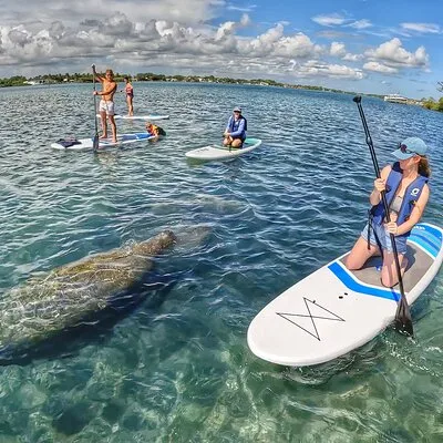 Paddle Boarding Eco Adventure Tour Jupiter Florida - Singer Island